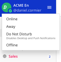 Image of avatar showing the status selection menu with the options online, away, and offline