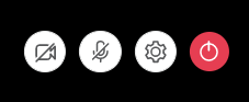 Webcam controls icons